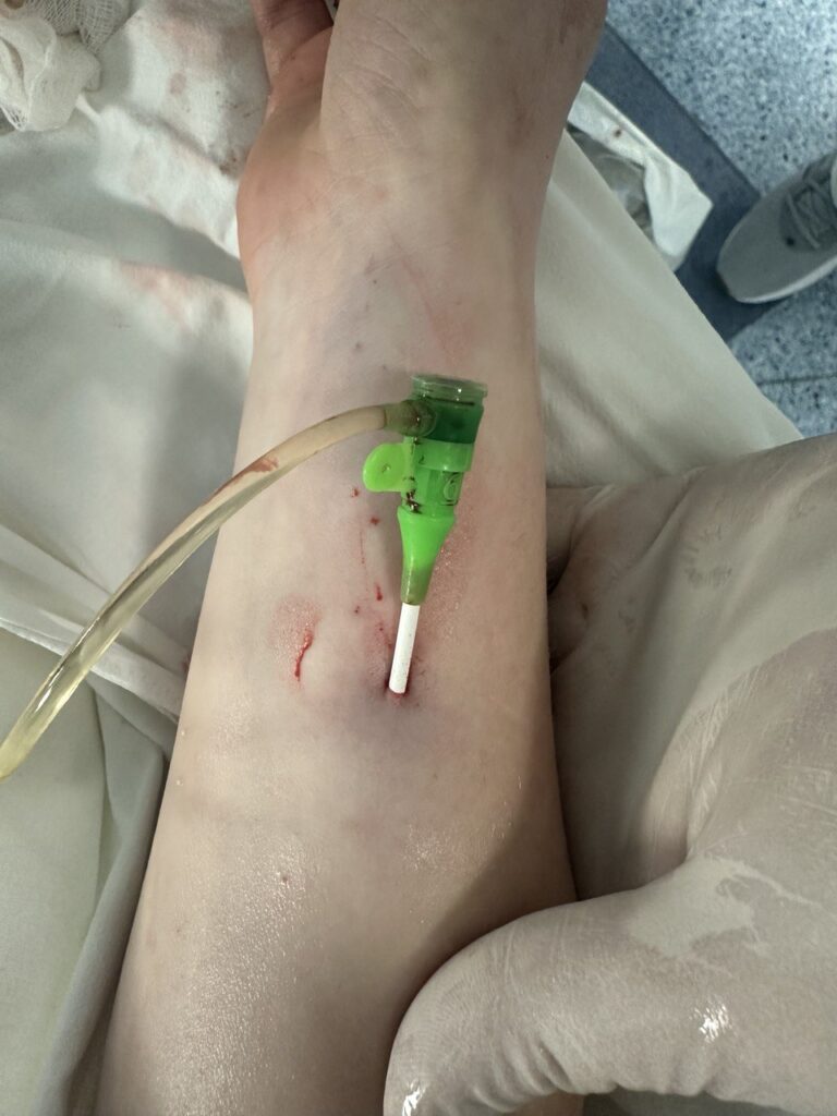 photo 2024 05 16 14 40 19